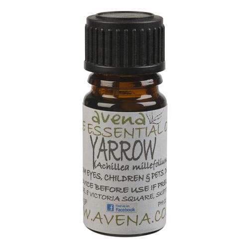 Yarrow Essential Oil 5ml - Pure Natural Aromatherapy Diffuse Burner Massage